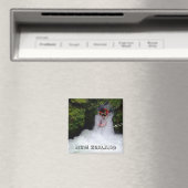 ニュージーランド、ワイルドウォーターラフティング(冷蔵庫用マグネット) マグネット (インサイチュ (食洗機))