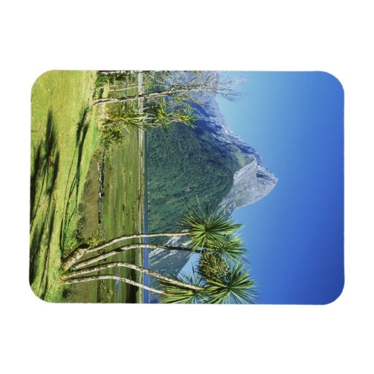 ニュージーランド、南アイランド、マイタピーク、 マグネット (横)