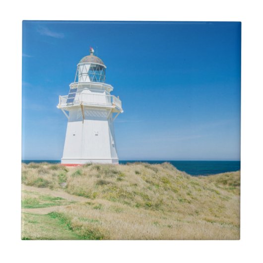 ニュージーランド、南島、カトリン、ワイパパ タイル (正面)