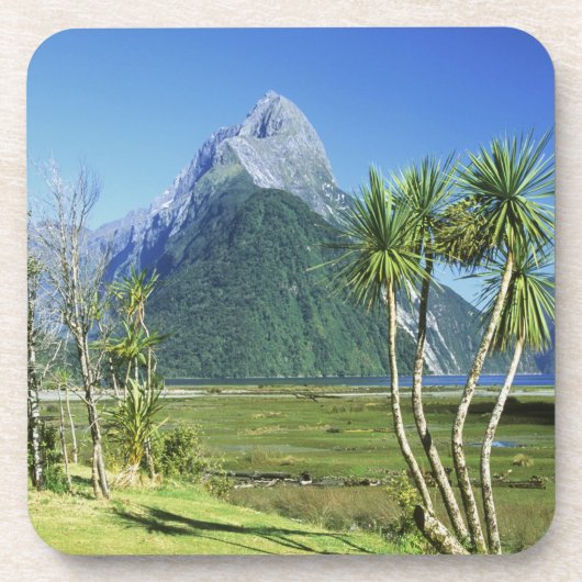 ニュージーランド、南島、マイターピーク、 コースター (正面)