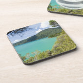 ニュージーランド、南島、マールボローの音。 コースター (左側)