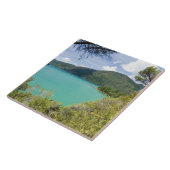 ニュージーランド、南島、マールボローの音。 タイル (側面)