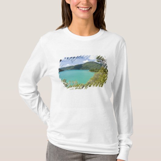 ニュージーランド,南島,マールボロ・サウンズ Tシャツ (正面)