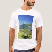 ニュージーランド 南島 ミトラピーク Tシャツ (正面)