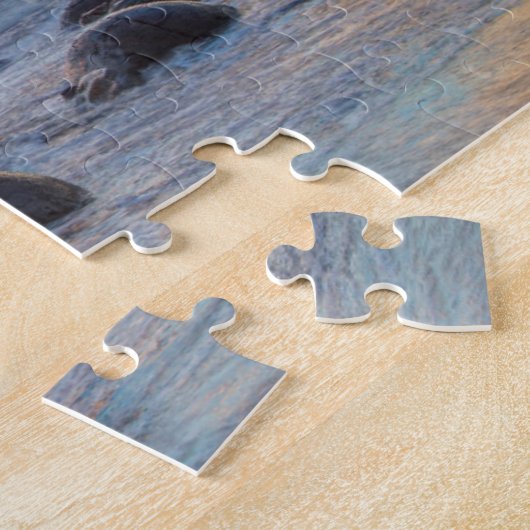 ニュージーランド、南島、モエラキ大きい石 ジグソーパズル (側面)