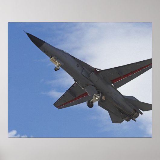 ニュージーランド、小田子、ワナカ、ワドリ ポスター (正面)