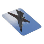 ニュージーランド、小田子、ワナカ、ワドリ マグネット (右側)