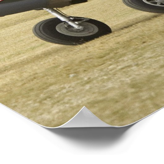 ニュージーランド、小田子、ワナカ、5羽を超えるワルバード ポスター (角)