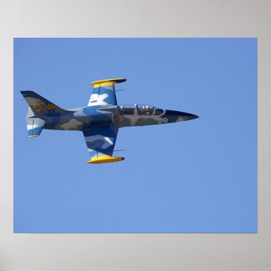 ニュージーランド、小田郷、ワナカ、ワドリの数は2を超える ポスター (正面)