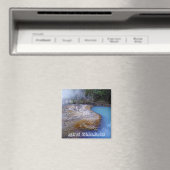 ニュージーランド、自然の色(冷蔵庫用マグネット) マグネット (インサイチュ (食洗機))