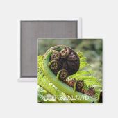 ニュージーランド、象徴的なシダの葉(冷蔵庫用マグネット) マグネット (正面/裏面)