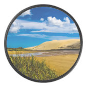 ニュージーランド、90マイルビーチ付近の流速 アイスホッケーパック (正面)