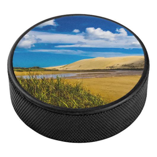 ニュージーランド、90マイルビーチ付近の流速 アイスホッケーパック (3/4)