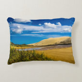 ニュージーランド、90マイルビーチ付近の流速 アクセントクッション (正面)