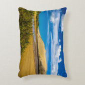 ニュージーランド、90マイルビーチ付近の流速 アクセントクッション (正面(垂直))