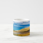 ニュージーランド、90マイルビーチ付近の流速 エスプレッソカップ (正面)