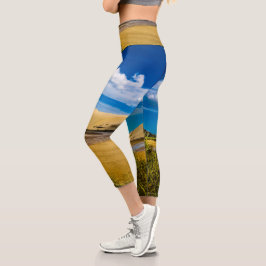 ニュージーランド、90マイルビーチ付近の流速 カプリレギンス