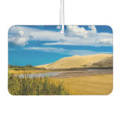 ニュージーランド、90マイルビーチ付近の流速 カーエアーフレッシュナー (正面)