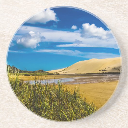 ニュージーランド、90マイルビーチ付近の流速 コースター (正面)