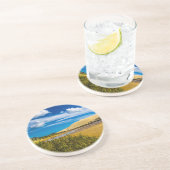 ニュージーランド、90マイルビーチ付近の流速 コースター (側面)