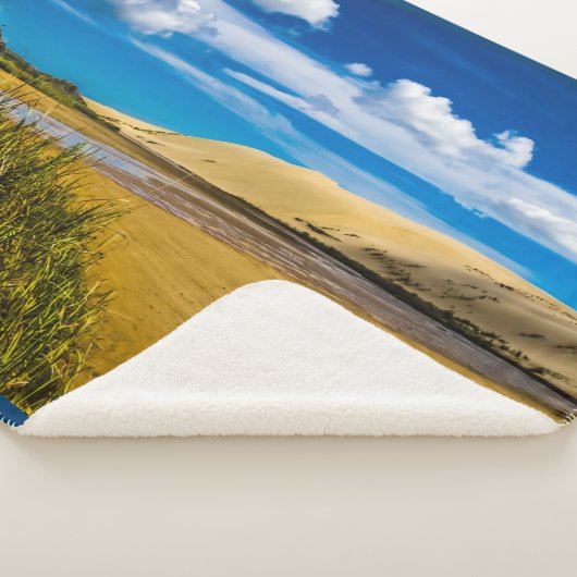 ニュージーランド、90マイルビーチ付近の流速 シェルパブランケット (3/4)