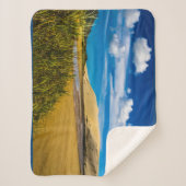 ニュージーランド、90マイルビーチ付近の流速 シェルパブランケット (正面)