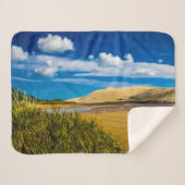 ニュージーランド、90マイルビーチ付近の流速 シェルパブランケット (正面(横))