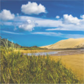 ニュージーランド、90マイルビーチ付近の流速 シール (正面)