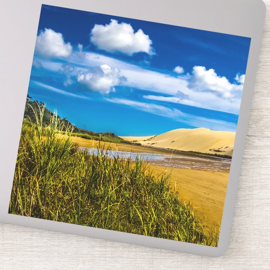 ニュージーランド、90マイルビーチ付近の流速 シール (詳細)