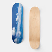 ニュージーランド、90マイルビーチ付近の流速 スケートボード (正面)