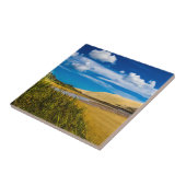 ニュージーランド、90マイルビーチ付近の流速 タイル (側面)