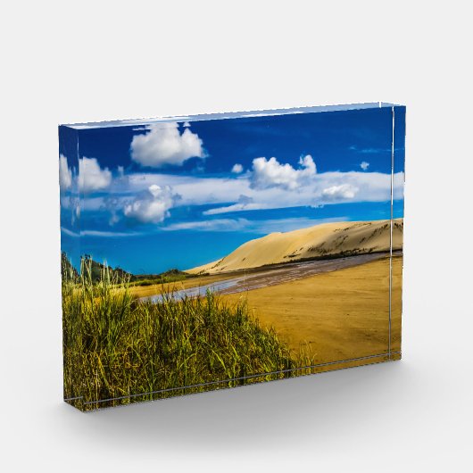 ニュージーランド、90マイルビーチ付近の流速 フォトブロック (左)