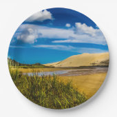 ニュージーランド、90マイルビーチ付近の流速 ペーパープレート (正面)