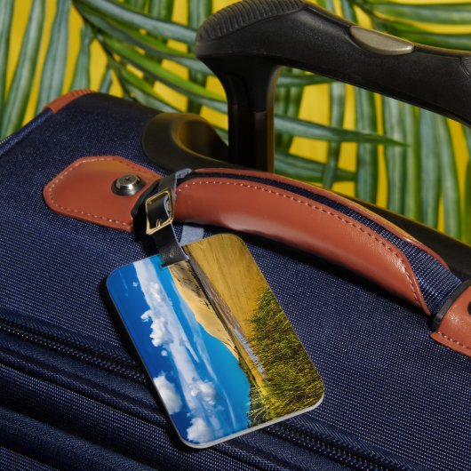 ニュージーランド、90マイルビーチ付近の流速 ラゲッジタグ (正面インサイチュ1)