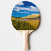 ニュージーランド、90マイルビーチ付近の流速 卓球ラケット (裏面)