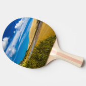 ニュージーランド、90マイルビーチ付近の流速 卓球ラケット (横)