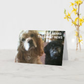 ニュースの誕生日 カード (黄色い花)