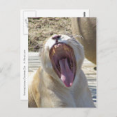 ニュースを広げろ! ポストカード (正面/裏面)