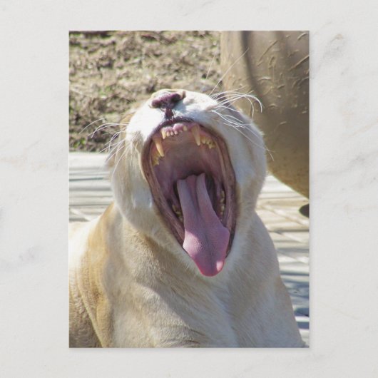 ニュースを広げろ! ポストカード (正面)