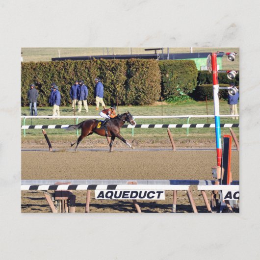 ニューデイの穏やかな会話が勝利 シーズンポストカード (正面)