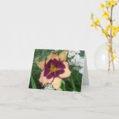 ニューデイガーデンズノテカード – デイリー'サビンボー' カード (黄色い花)