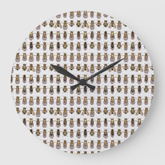 ニュートラルカラーショウジョウバエ時計 ラージ壁時計 (正面)