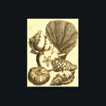 ニュートラルシェルアンドコーラルコレクション キャンバスプリント<br><div class="desc">海に潜って、これらの海の生き物と一緒に海を違う探検しよう。このヴィンテージ作品は、海のアネモネ愛好家に完璧な追加である。製品のアートプリントを今すぐ入手。</div>