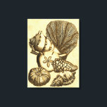 ニュートラルシェルアンドコーラルコレクション キャンバスプリント<br><div class="desc">海に潜って、これらの海の生き物と一緒に海を違う探検しよう。このヴィンテージ作品は、海のアネモネ愛好家に完璧な追加である。製品のアートプリントを今すぐ入手。</div>