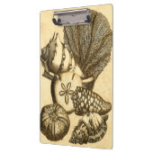 ニュートラルシェルアンドコーラルコレクション クリップボード (左)