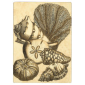 ニュートラルシェルアンドコーラルコレクション クリップボード (裏面)