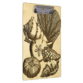 ニュートラルシェルアンドコーラルコレクション クリップボード (右)