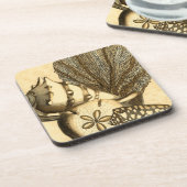 ニュートラルシェルアンドコーラルコレクション コースター (左側)