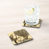 ニュートラルシェルアンドコーラルコレクション コースター (右側)