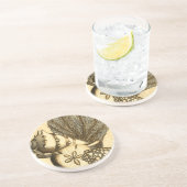 ニュートラルシェルアンドコーラルコレクション コースター (側面)